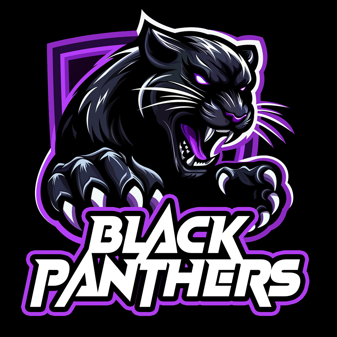 Panthers 300x300 pixeles