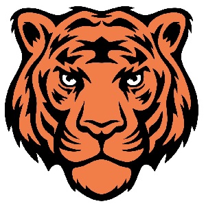 Tigres de Bengala